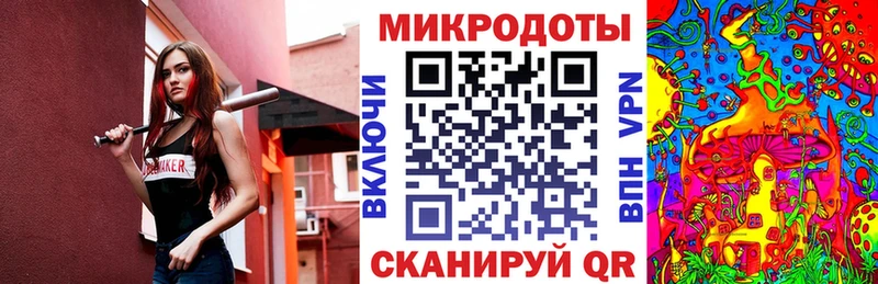 Псилоцибиновые грибы Cubensis Котельнич